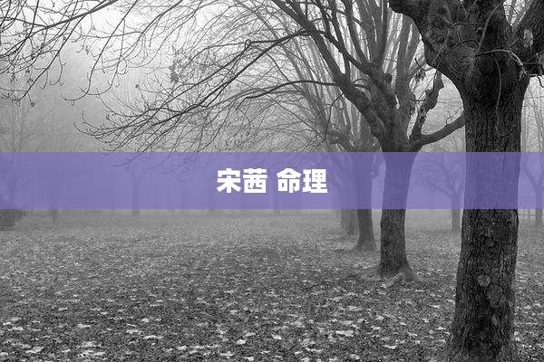 宋茜 命理