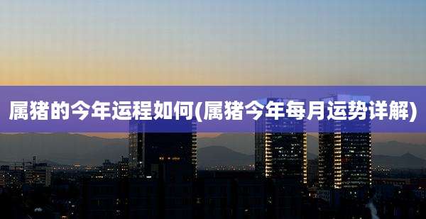 属猪的今年运程如何(属猪今年每月运势详解)