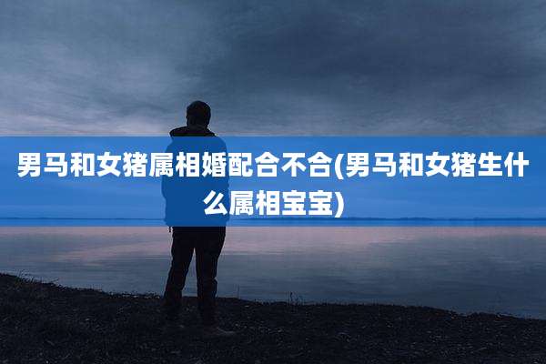 男马和女猪属相婚配合不合(男马和女猪生什么属相宝宝)