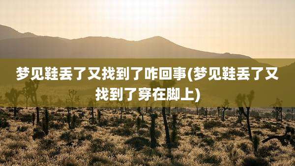 梦见鞋丢了又找到了咋回事(梦见鞋丢了又找到了穿在脚上)