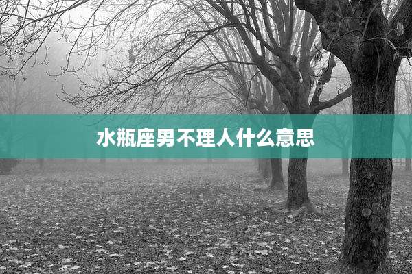 水瓶座男不理人什么意思