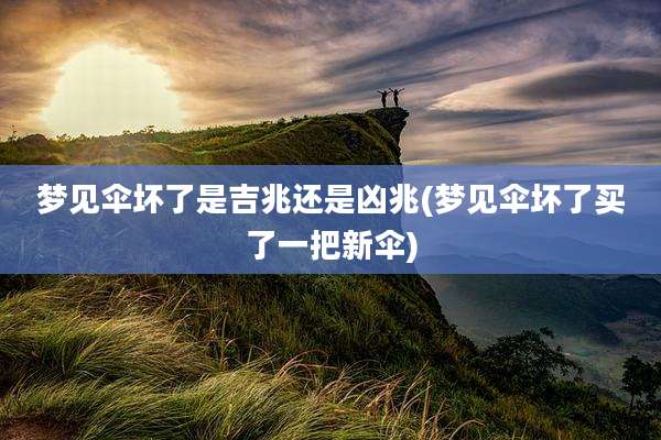 梦见伞坏了是吉兆还是凶兆(梦见伞坏了买了一把新伞)