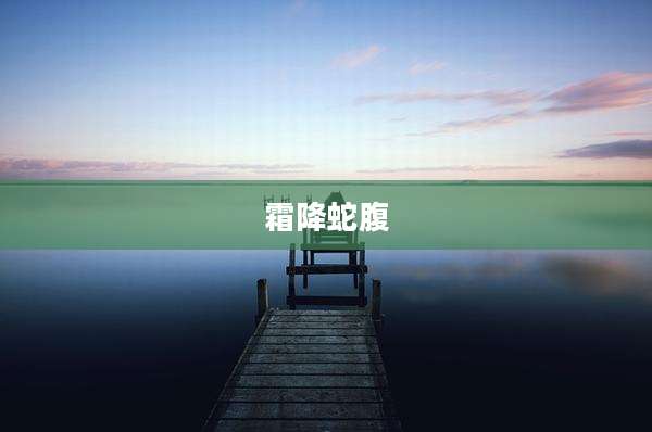 霜降蛇腹