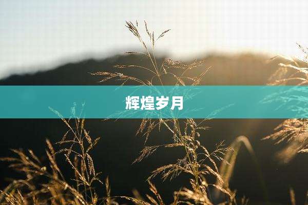 辉煌岁月