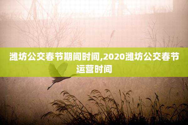 潍坊公交春节期间时间,2020潍坊公交春节运营时间