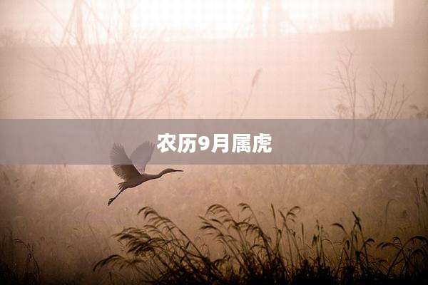 农历9月属虎