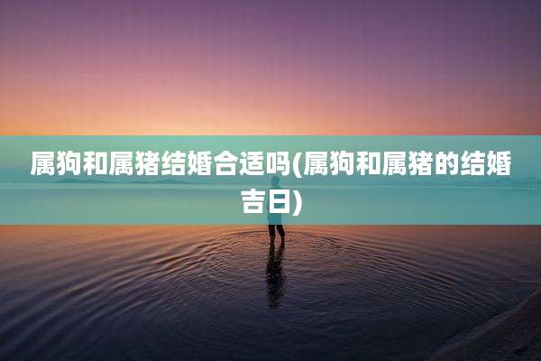 属狗和属猪结婚合适吗(属狗和属猪的结婚吉日)