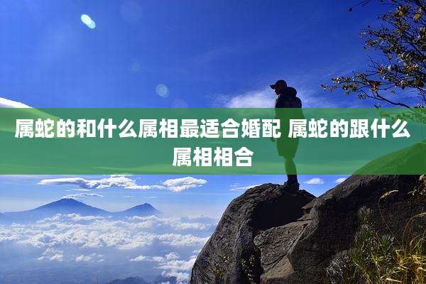 属蛇的和什么属相最适合婚配 属蛇的跟什么属相相合