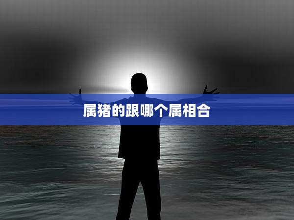 属猪的跟哪个属相合