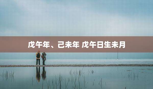 戊午年、己未年 戊午日生未月