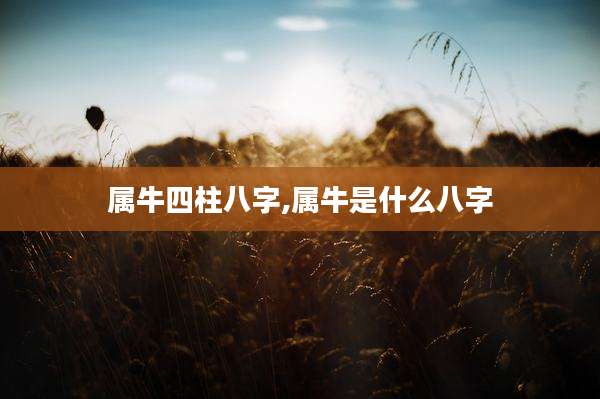 属牛四柱八字,属牛是什么八字