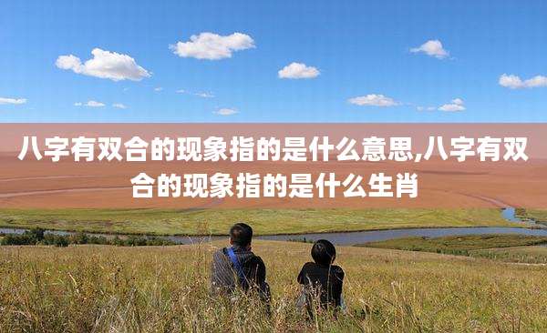 八字有双合的现象指的是什么意思,八字有双合的现象指的是什么生肖