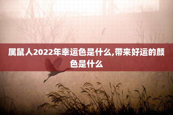 属鼠人2022年幸运色是什么,带来好运的颜色是什么
