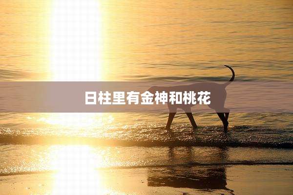 日柱里有金神和桃花