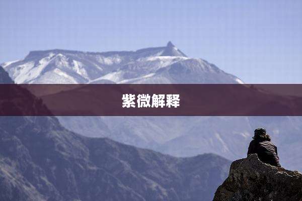 紫微解释