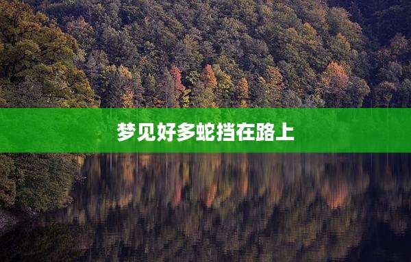 梦见好多蛇挡在路上