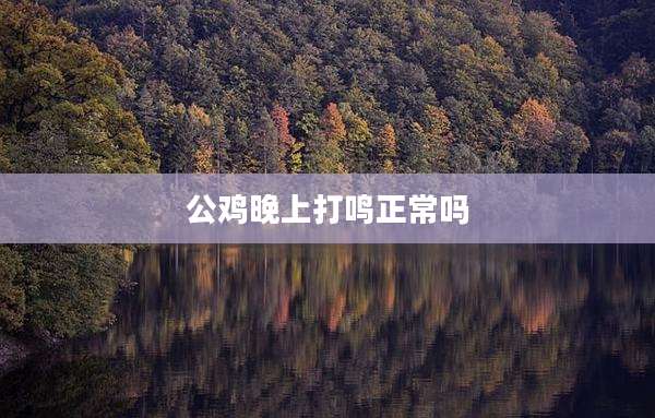 公鸡晚上打鸣正常吗