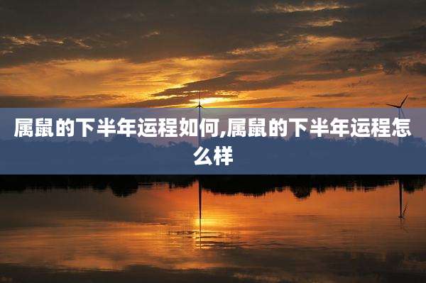 属鼠的下半年运程如何,属鼠的下半年运程怎么样
