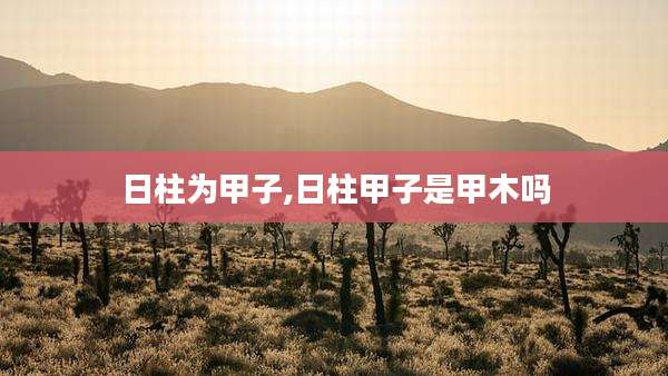 日柱为甲子,日柱甲子是甲木吗