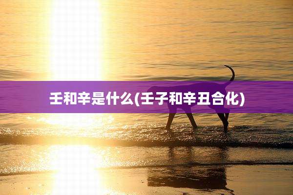 壬和辛是什么(壬子和辛丑合化)
