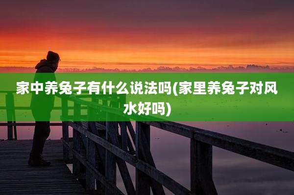 家中养兔子有什么说法吗(家里养兔子对风水好吗)