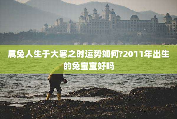 属兔人生于大寒之时运势如何?2011年出生的兔宝宝好吗