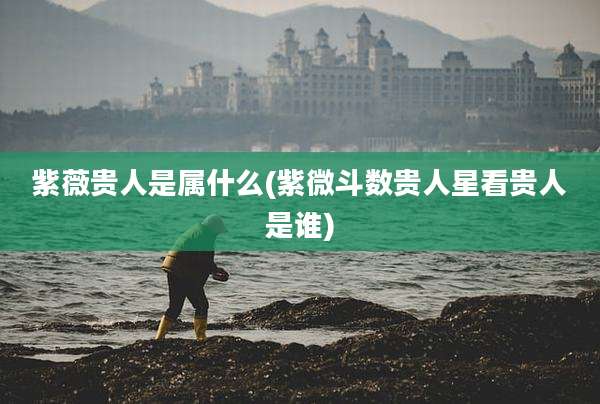 紫薇贵人是属什么(紫微斗数贵人星看贵人是谁)