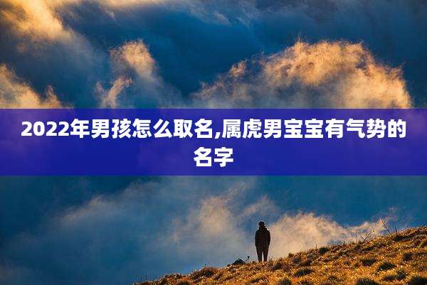 2022年男孩怎么取名,属虎男宝宝有气势的名字
