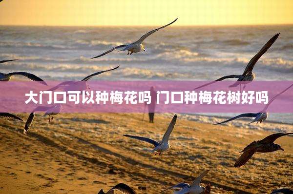 大门口可以种梅花吗 门口种梅花树好吗
