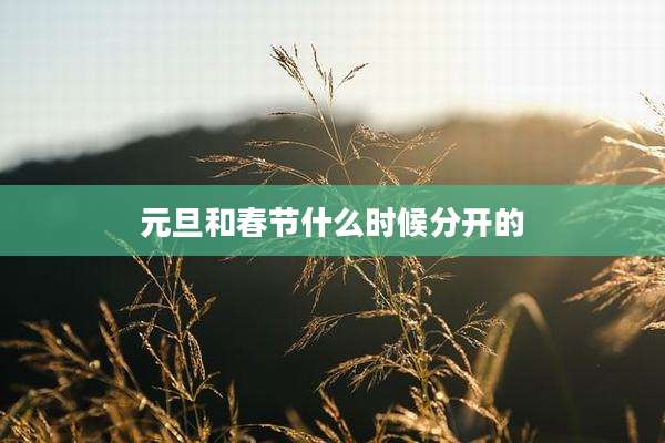 元旦和春节什么时候分开的