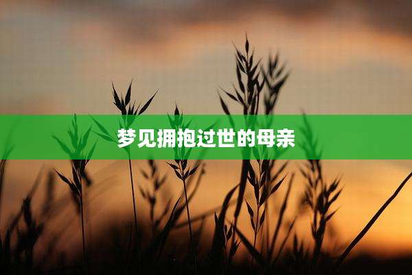 梦见拥抱过世的母亲