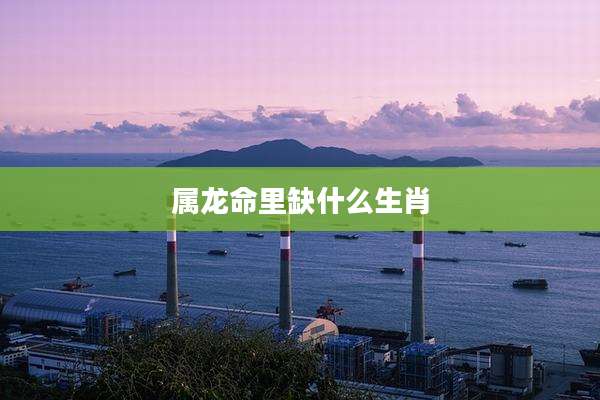 属龙命里缺什么生肖