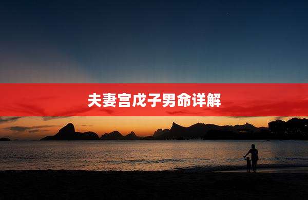 夫妻宫戊子男命详解