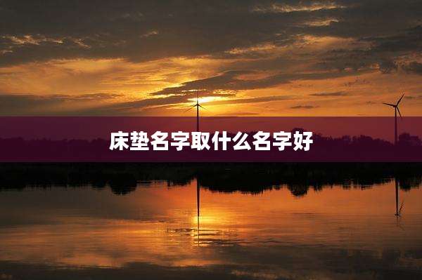 床垫名字取什么名字好