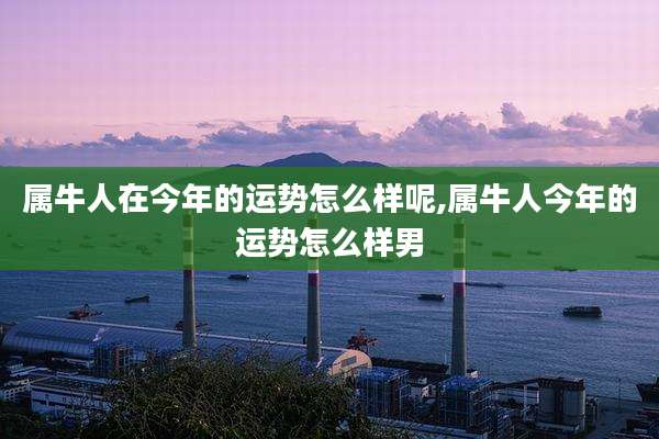 属牛人在今年的运势怎么样呢,属牛人今年的运势怎么样男