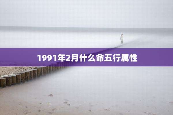 1991年2月什么命五行属性