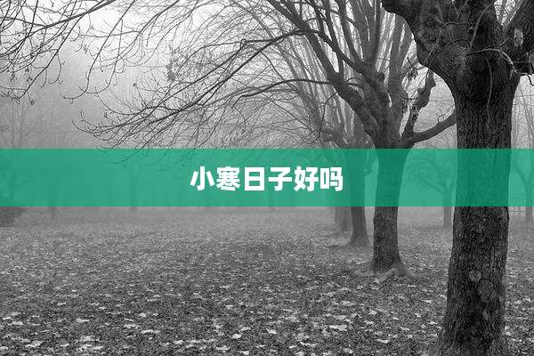 小寒日子好吗