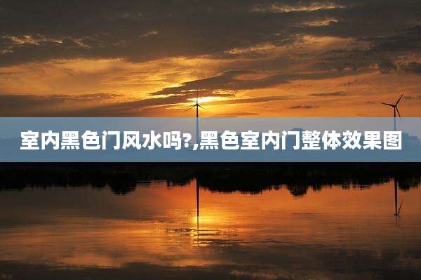 室内黑色门风水吗?,黑色室内门整体效果图