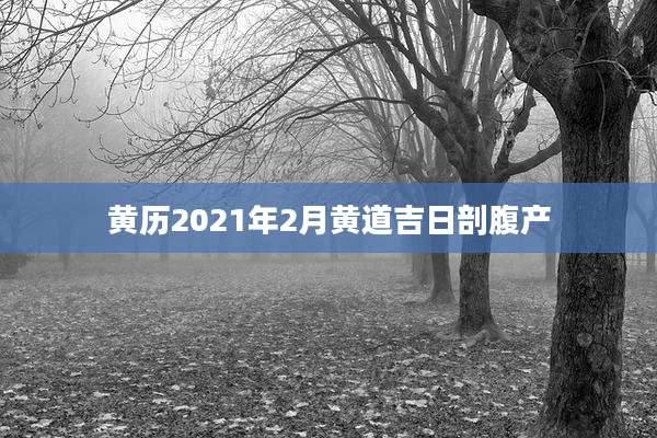 黄历2021年2月黄道吉日剖腹产