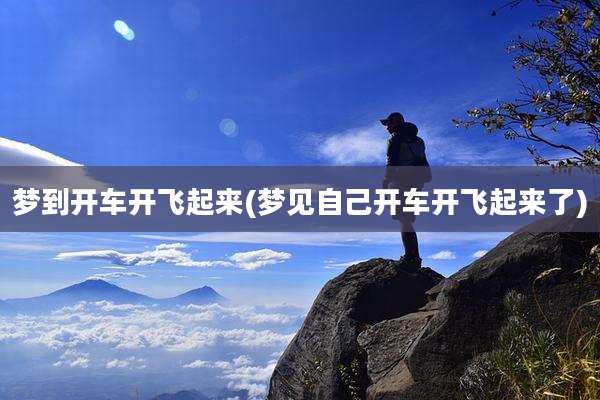 梦到开车开飞起来(梦见自己开车开飞起来了)