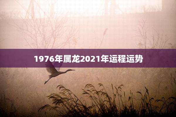 1976年属龙2021年运程运势