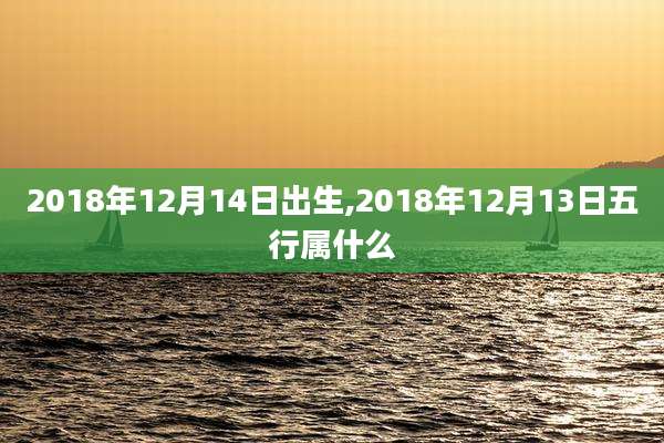 2018年12月14日出生,2018年12月13日五行属什么