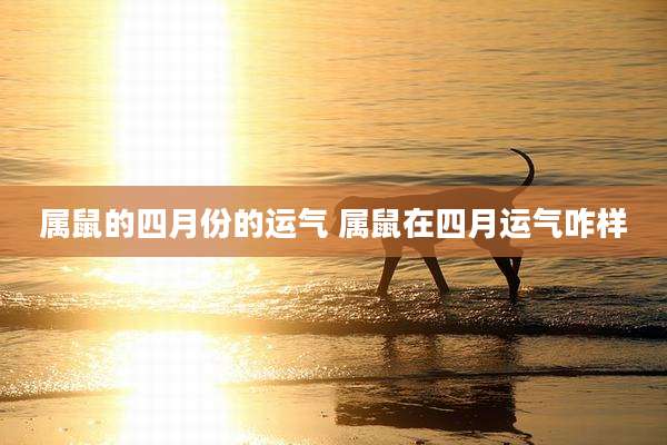 属鼠的四月份的运气 属鼠在四月运气咋样