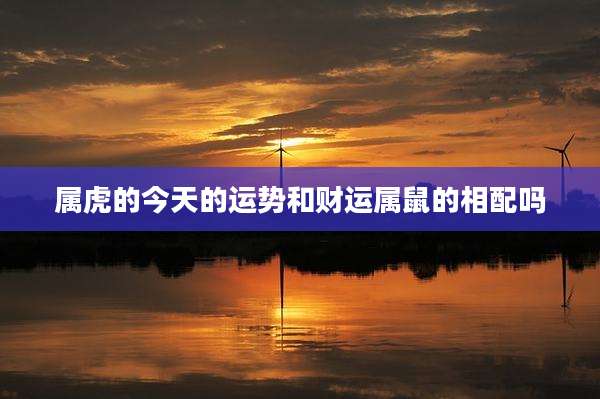 属虎的今天的运势和财运属鼠的相配吗