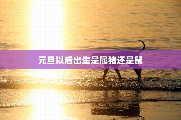元旦以后出生是属猪还是鼠