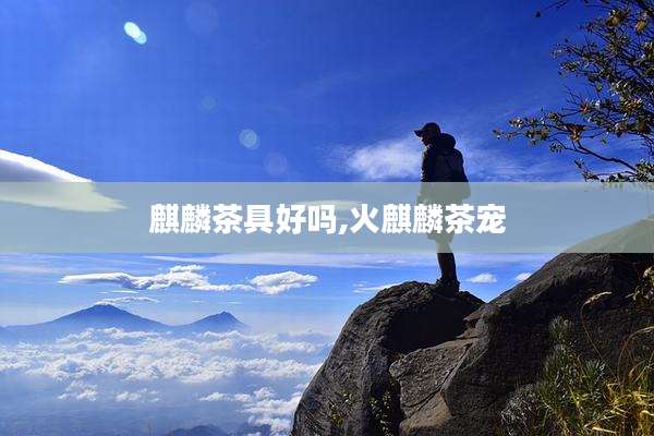 麒麟茶具好吗,火麒麟茶宠
