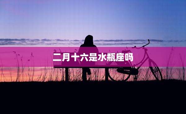 二月十六是水瓶座吗