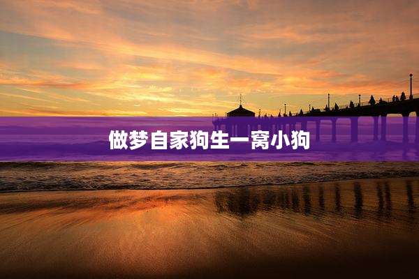 做梦自家狗生一窝小狗