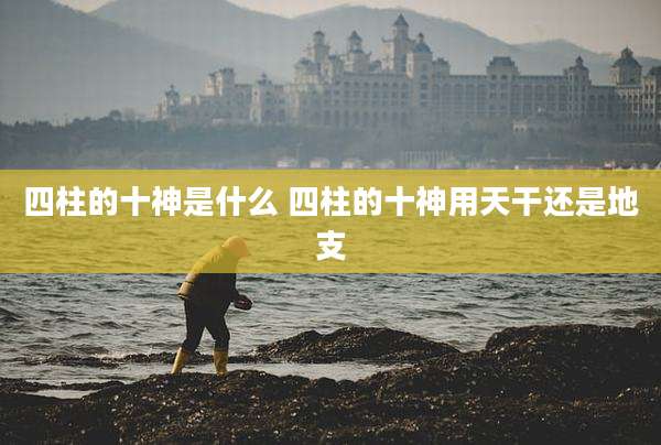 四柱的十神是什么 四柱的十神用天干还是地支