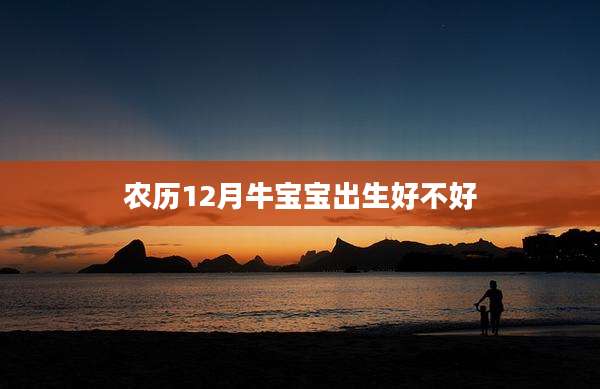 农历12月牛宝宝出生好不好